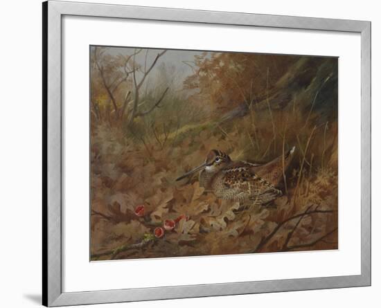 A Woodcock Nesting in Autumn Leaves-Archibald Thorburn-Framed Giclee Print