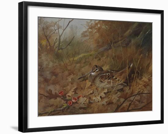 A Woodcock Nesting in Autumn Leaves-Archibald Thorburn-Framed Giclee Print