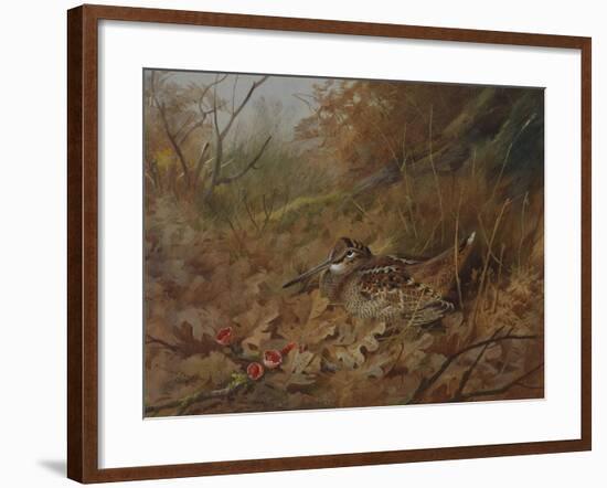 A Woodcock Nesting in Autumn Leaves-Archibald Thorburn-Framed Giclee Print