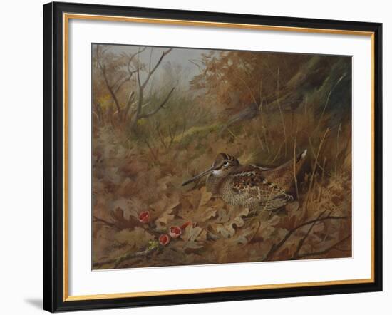 A Woodcock Nesting in Autumn Leaves-Archibald Thorburn-Framed Giclee Print