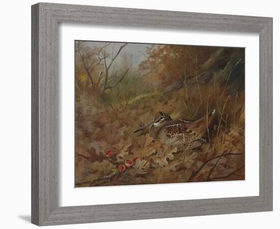 A Woodcock Nesting in Autumn Leaves-Archibald Thorburn-Framed Giclee Print