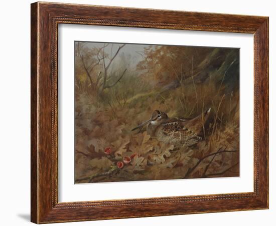 A Woodcock Nesting in Autumn Leaves-Archibald Thorburn-Framed Giclee Print