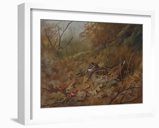 A Woodcock Nesting in Autumn Leaves-Archibald Thorburn-Framed Giclee Print