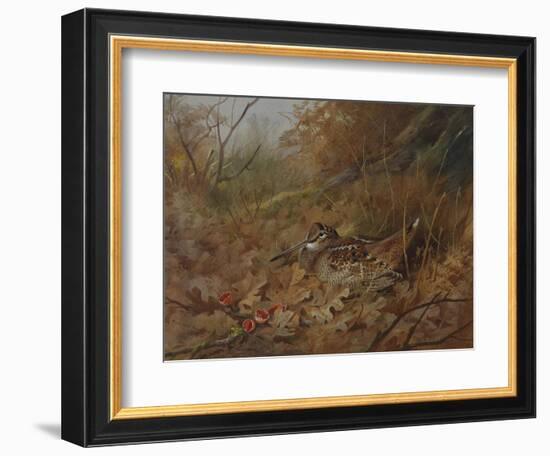 A Woodcock Nesting in Autumn Leaves-Archibald Thorburn-Framed Giclee Print