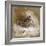 A Woodcock-Archibald Thorburn-Framed Giclee Print