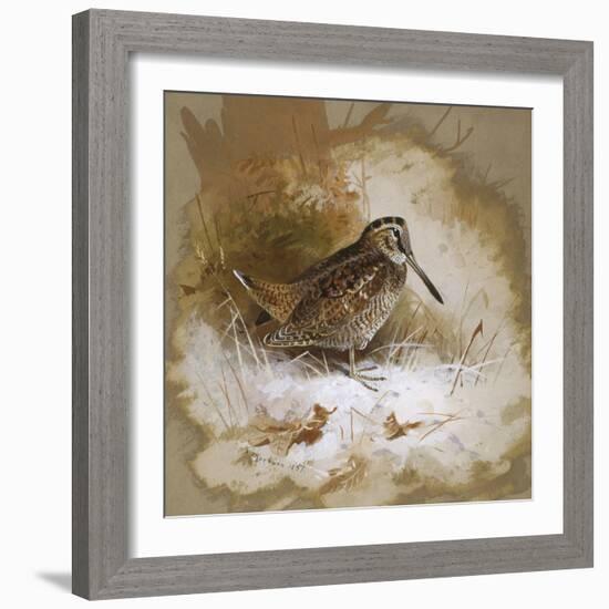 A Woodcock-Archibald Thorburn-Framed Giclee Print