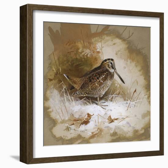 A Woodcock-Archibald Thorburn-Framed Giclee Print