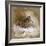 A Woodcock-Archibald Thorburn-Framed Giclee Print