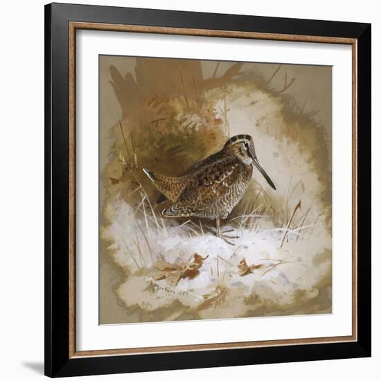 A Woodcock-Archibald Thorburn-Framed Giclee Print