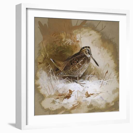 A Woodcock-Archibald Thorburn-Framed Giclee Print