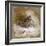 A Woodcock-Archibald Thorburn-Framed Giclee Print