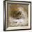 A Woodcock-Archibald Thorburn-Framed Giclee Print