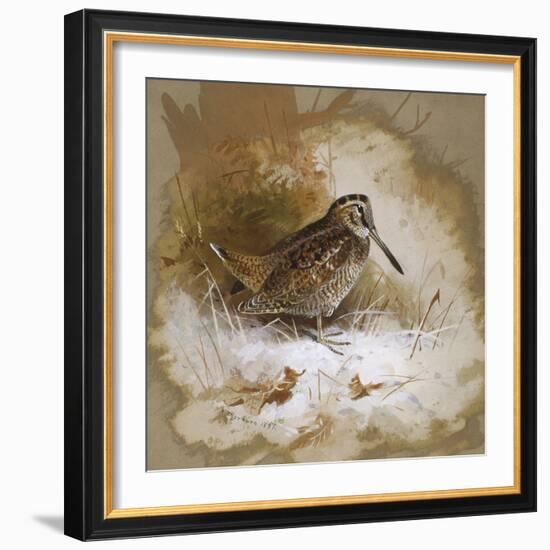 A Woodcock-Archibald Thorburn-Framed Giclee Print