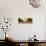 A Wooded Landscape-Sebastian Vrancx-Premium Giclee Print displayed on a wall