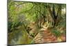 A Wooded River Landscape by Peder Monsted-Peder Monsted-Mounted Giclee Print