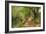 A Wooded River Landscape by Peder Monsted-Peder Monsted-Framed Giclee Print