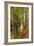 A Wooded River Landscape-Peder Mork Monsted-Framed Giclee Print