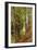 A Wooded River Landscape-Peder Mork Monsted-Framed Giclee Print