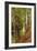 A Wooded River Landscape-Peder Mork Monsted-Framed Giclee Print