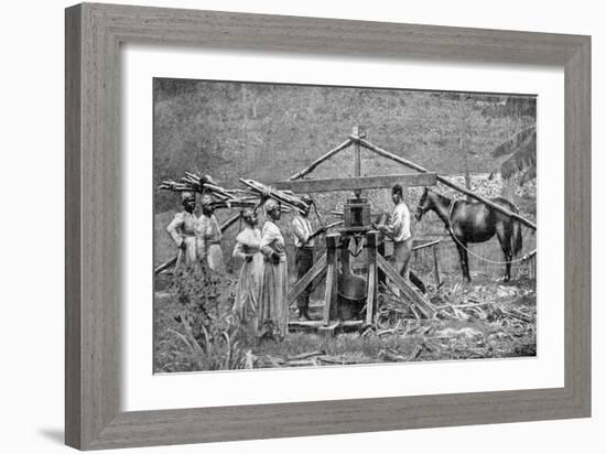 A Wooden, Horse-Powered Suger Cane Crushing Mill, West Indies, 1922-null-Framed Giclee Print