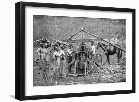 A Wooden, Horse-Powered Suger Cane Crushing Mill, West Indies, 1922-null-Framed Giclee Print