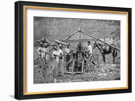 A Wooden, Horse-Powered Suger Cane Crushing Mill, West Indies, 1922-null-Framed Giclee Print