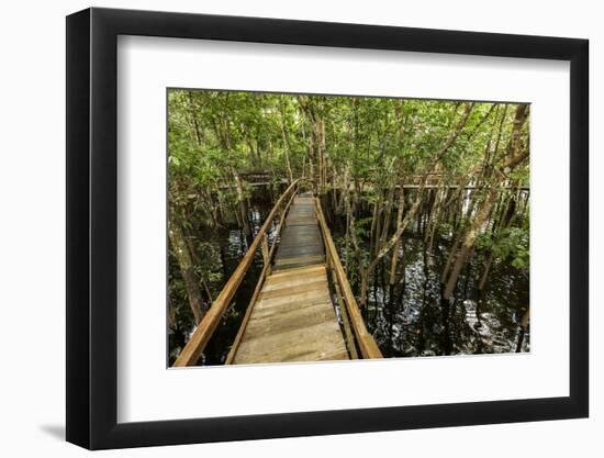 A wooden walkway at a jungle lodge above the Amazon River, Manaus, Brazil-James White-Framed Photographic Print