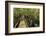 A wooden walkway at a jungle lodge above the Amazon River, Manaus, Brazil-James White-Framed Photographic Print