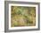 A Woodland Park-Spencer Frederick Gore-Framed Giclee Print