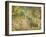 A Woodland Park-Spencer Frederick Gore-Framed Giclee Print