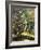 A Woodland Pool-Olaf August Hermansen-Framed Giclee Print