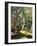 A Woodland Pool-Olaf August Hermansen-Framed Giclee Print