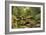 A Woodland River in Summer-Peder Monsted-Framed Art Print