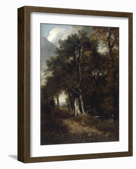 A Woodland Scene, c.1801-John Constable-Framed Giclee Print