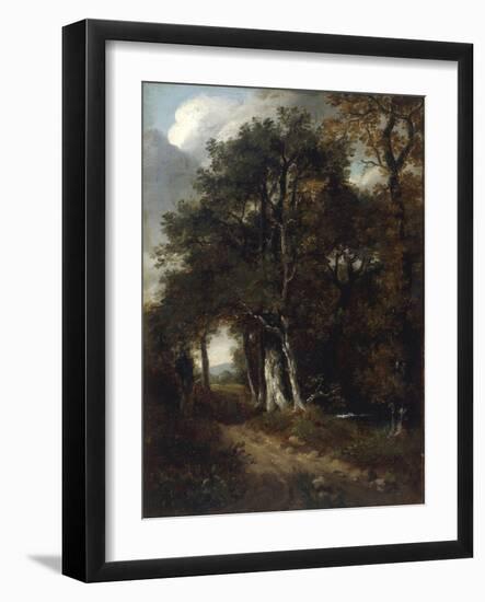 A Woodland Scene, c.1801-John Constable-Framed Giclee Print