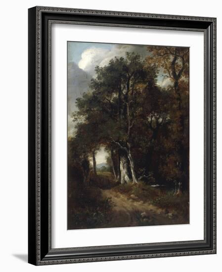 A Woodland Scene, c.1801-John Constable-Framed Giclee Print