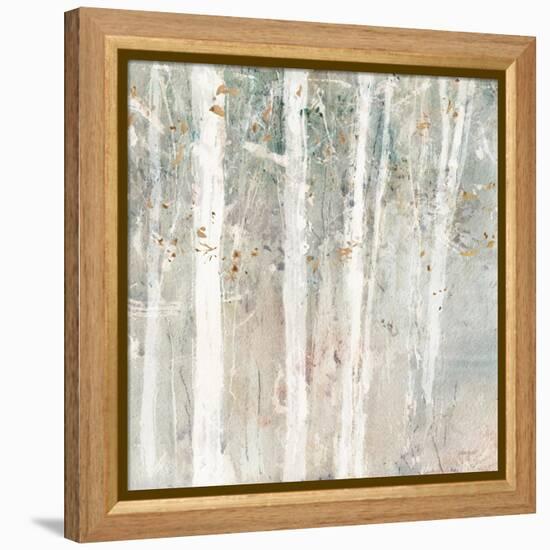 A Woodland Walk II-Lisa Audit-Framed Stretched Canvas