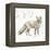 A Woodland Walk XI-Lisa Audit-Framed Stretched Canvas