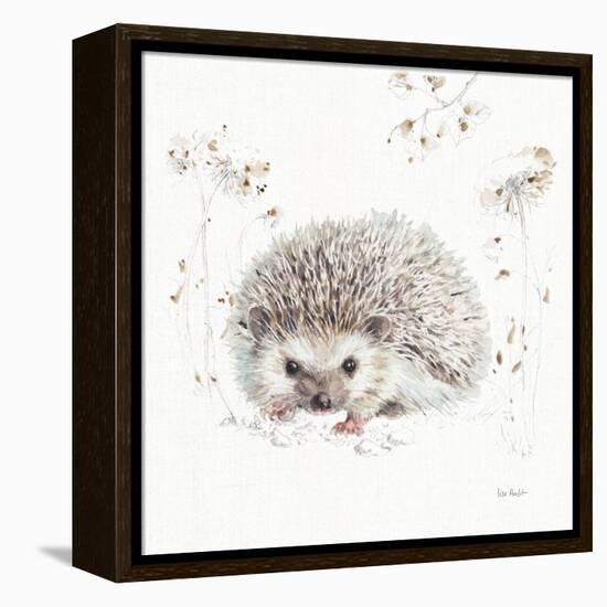 A Woodland Walk XII-Lisa Audit-Framed Stretched Canvas