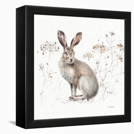 A Woodland Walk XIII-Lisa Audit-Framed Stretched Canvas