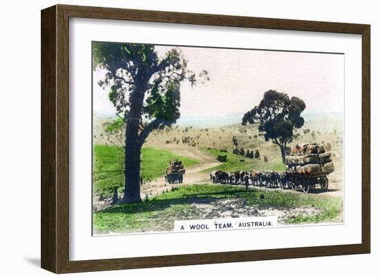 A Wool Team, Australia, C1920S-null-Framed Giclee Print