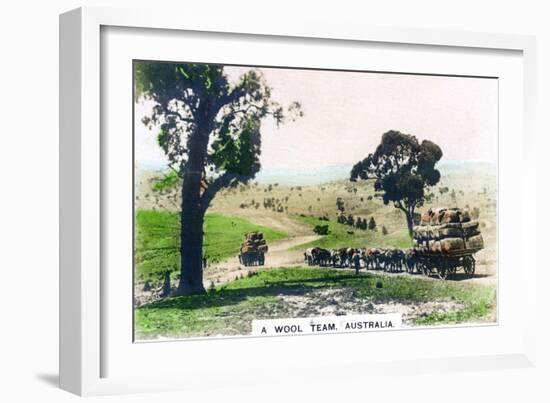 A Wool Team, Australia, C1920S-null-Framed Giclee Print