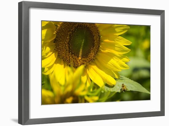 A Work in Progress-Eye Of The Mind Photography-Framed Photographic Print