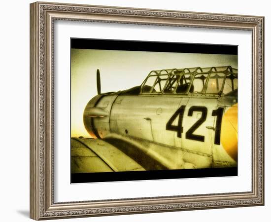 A World War Ii Aeroplane-Cristina Carra Caso-Framed Photographic Print