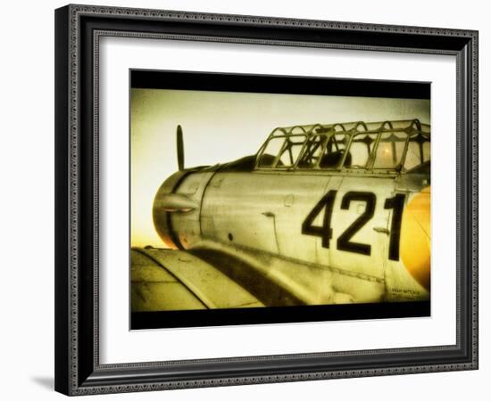 A World War Ii Aeroplane-Cristina Carra Caso-Framed Photographic Print