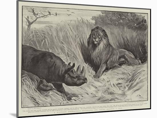 A Wounded Rhinoceros Defending its Young Against a Lion-John Charlton-Mounted Giclee Print