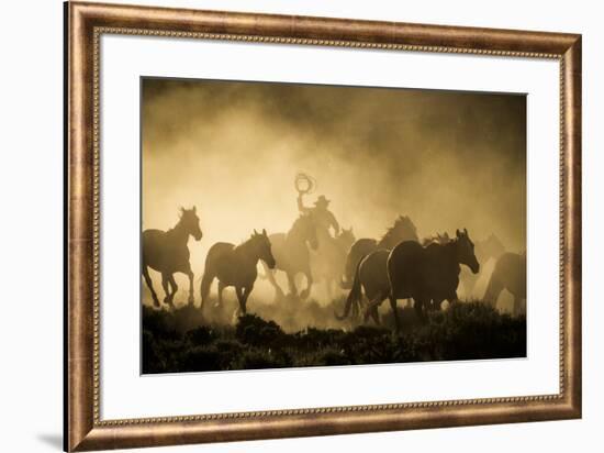 A wrangler herding horses through backlit dust cloud in golden light of sunrise-Sheila Haddad-Framed Premium Photographic Print