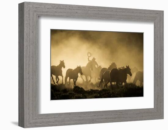 A wrangler herding horses through backlit dust cloud in golden light of sunrise-Sheila Haddad-Framed Photographic Print