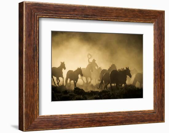 A wrangler herding horses through backlit dust cloud in golden light of sunrise-Sheila Haddad-Framed Photographic Print