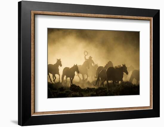 A wrangler herding horses through backlit dust cloud in golden light of sunrise-Sheila Haddad-Framed Photographic Print